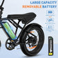 BK29G Ebike