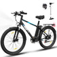 BK3MS Ebike